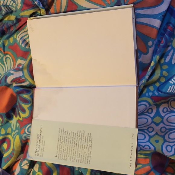 "A tent in which to pass a summer night" - Picture 3 of 4